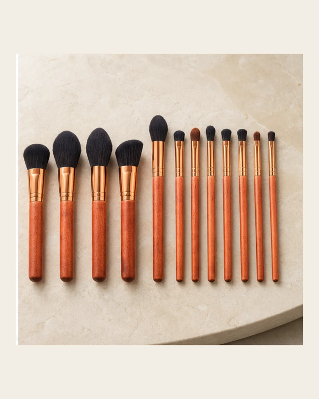 Twelve-Brush Studio Set