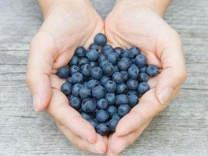blueberries lose weight fight fat weight loss health 