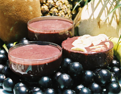 acai berry benefits acai berry benefits antioxidants weight loss