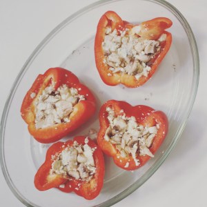 stuffed and ready to go